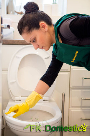 London, Cleaning, Window Cleaning Service In London