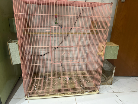 Al Rehab, Pet Supplies, SAR 150,  Parrot Cage Big Size
