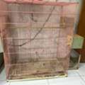 SAR 150,  Parrot Cage Big Size