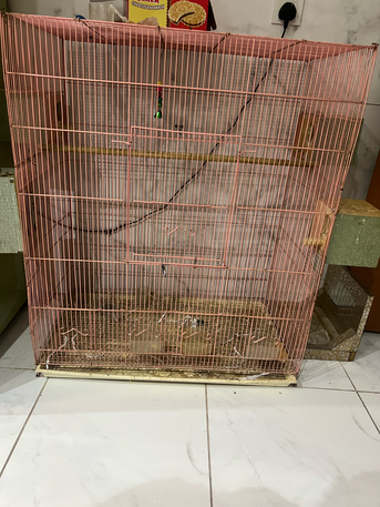 Al Rehab, Pet Supplies, SAR 150,  Parrot Cage Big Size