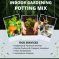 Indoor Gardening Potting Mix