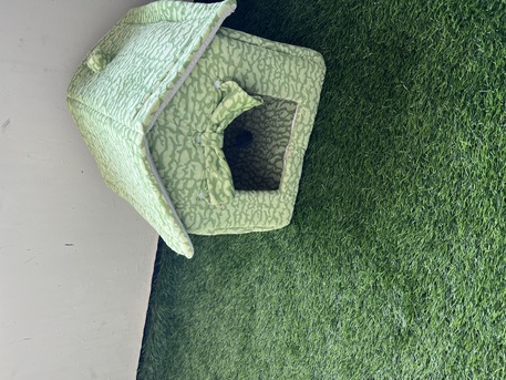 Khobar, Pet Supplies, SAR 250,  Cat Accessories At Throw Away Price- One Time Used Only