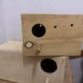SAR 10,  Breeding Boxes For Parrots