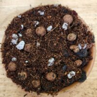 New York, Farm & Garden, USD 2800,  Online Orchid Supplies: Offering Quality Pots, Mixes, And Growing Essentials