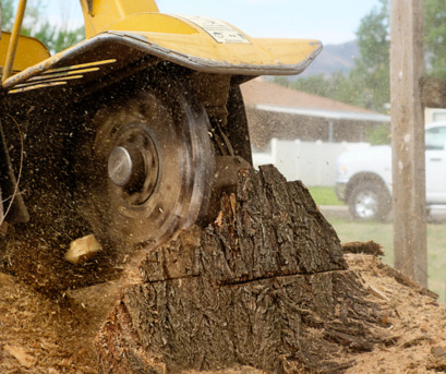 Brisbane, Farm/Garden, Stump Removal Brisbane