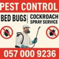 ✅✅✅ PEST CONTROL SERVICE &ndash; RIYADH ✅✅✅