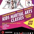 Taekwondo Classes
