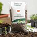 Soilless Soil For Plants