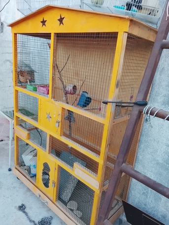 Khobar, Pet Supplies, SAR 300,  Bird Cage