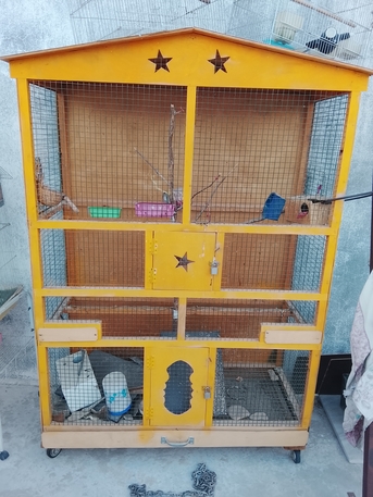 Khobar, Pet Supplies, SAR 300,  Bird Cage