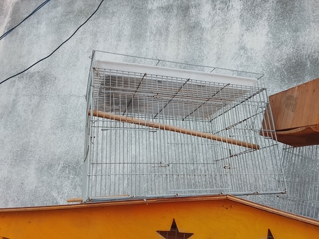 Khobar, Pet Supplies, SAR 300,  Bird Cage