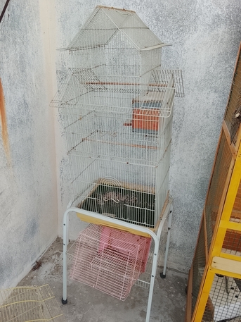 Khobar, Pet Supplies, SAR 300,  Bird Cage