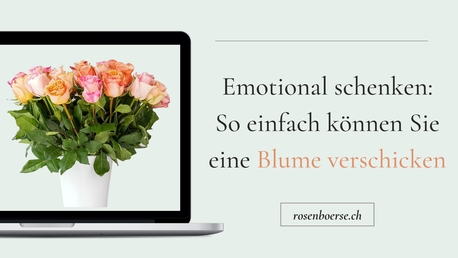Geneva, Farm & Garden, CHF 5,  Emotional Schenken: So Einfach K?nnen Sie Eine Blume Verschicken