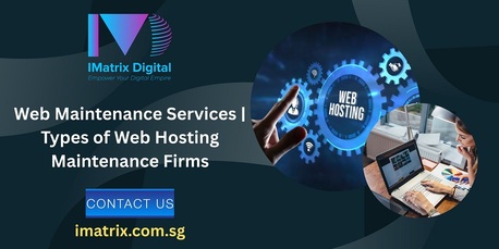 Singapore, Business, Web Maintenance Services | Types Of Web Hosting Maintenance Firms