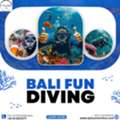 Bali FUN Diving
