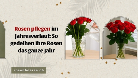 Geneva, Farm & Garden, CHF 5,  Rosen Pflegen Im Jahresverlauf: So Gedeihen Ihre Rosen Das Ganze Jahr
