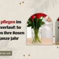CHF 5,  Rosen Pflegen Im Jahresverlauf: So Gedeihen Ihre Rosen Das Ganze Jahr