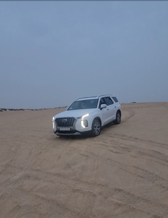 Jubail, Vehicles, Cars & Trucks , Sar 103000,  Hyundai Palisade,  2019,  Automatic,  194 KM,  Non Accidental (Smooth Car)   4X4