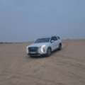 Sar 103000,  Hyundai Palisade,  2019,  Automatic,  194 KM,  Non Accidental (Smooth Car)   4X4