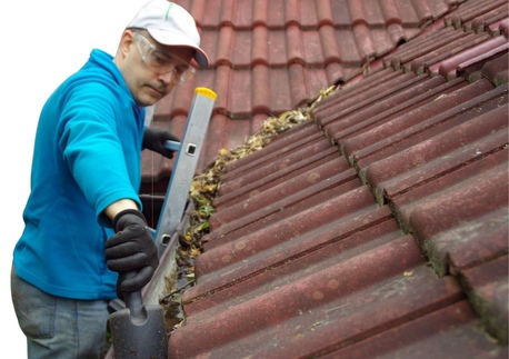 Bangkok, Business, Gutter Guards Company