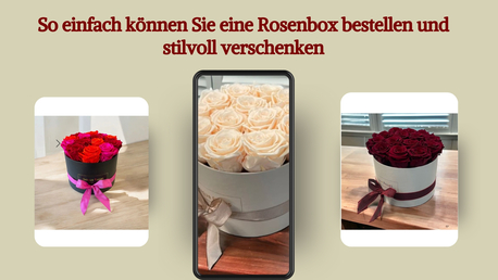 Geneva, Farm & Garden, CHF 5,  So Einfach K?nnen Sie Eine Rosenbox Bestellen Und Stilvoll Verschenken