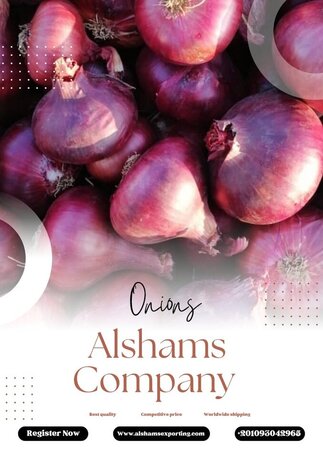 Cairo, Food, EGP 1,  Fresh Onions