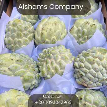 Cairo, Food, EGP 1,  Fresh Custard Apple