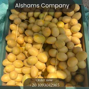 Cairo, Food, EGP 1,  Fresh Barhi Dates