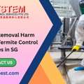 Can Termite Removal Harm Gardens? Key Termite Control Services In SG