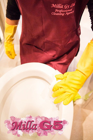 London, Cleaning, Home Carpet Cleaning Cleaners