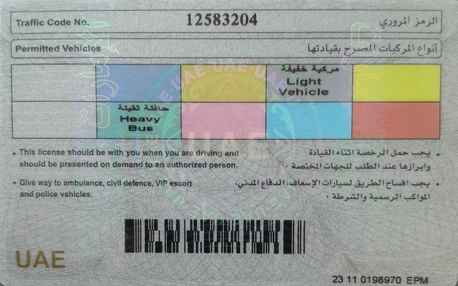 Dubai, Job Seekers, Heavy Bus And Light Vehicle Driver