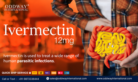 Ho Chi Minh City, Wholesale Products, Trusted B2B Wholesale Supplier Anti Rabies Vaccine & Injections In Asia