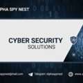 From Despair To Recovery: How Alpha Spy Nest Saved My Crypto Fortune.