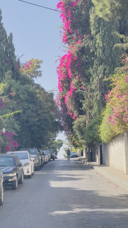 Amman, Apartments/Houses, Furnished,  2 BR,  100 Sq. Meter,  :✨ 2-Bedroom Apartment For Rent In Jabal Amman &ndash; Rainbow Street ✨ With A Lovel