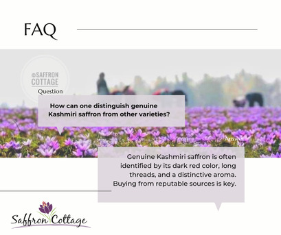 Kuala Lumpur, Health & Beauty Items, First Picking Of Saffron Flowers 2025: A Legacy Of Purity And Excellence Continues