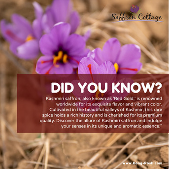 Kuala Lumpur, Health & Beauty Items, First Picking Of Saffron Flowers 2025: A Legacy Of Purity And Excellence Continues