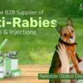 Anti Rabies Vaccine & Injections &ndash; Global B2B Supplier | Oddway International