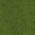 Outdoor Carpet & Turf &ndash; MSI Emerald Green, Lush & Durable