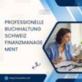 Professionelle Buchhaltung Schweiz Finanzmanagement