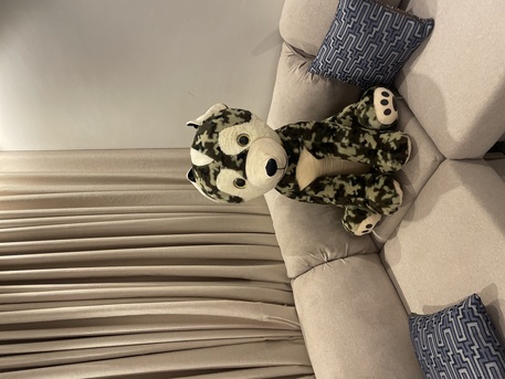 Al Naeem, Toys & Games, SAR 100,  Two Dummies With A Cheap Price  As A New