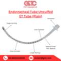 INR 250,  Uncuffed Endotracheal Tube &ndash; Smooth, Safe Intubation