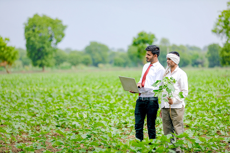 Paris, Jobs, 30 Workers Are Needed For Agricultural Work