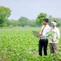30 Workers Are Needed For Agricultural Work