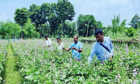 Paris, Jobs, 30 Workers Are Needed For Agricultural Work