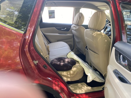 Yanbu, Vehicles, Cars & Trucks , SAR 65000,  Nissan X-Trail 2020,  2020,  Automatic,  66666 KM,   For Sale (65000 SR) Slightly Negotiable