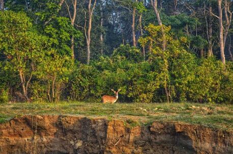 Singapore, Travel, Explore Nepal In 8 Days &ndash; Culture, Wildlife & Himalaya Views