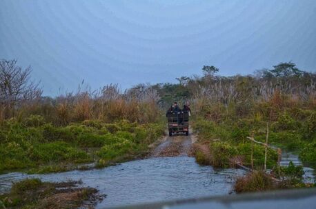 Singapore, Travel, Explore Nepal In 8 Days &ndash; Culture, Wildlife & Himalaya Views