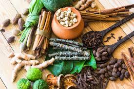 Lucknow, Career Counseling, Vaidya Yagya Dutt Sharma Ayurvedic Medical College Khurja