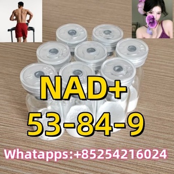 Ho Chi Minh City, Health & Beauty Items, USD 1,  99% Purity NAD Semaglutide, Reta, AOD Weight Loss Peptides Tirz Reta Sema Nad Cagrilintide