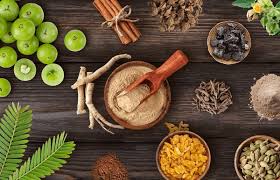 Lucknow, Career Counseling, Shri Babu Singh Dadduji Ayurvedic Medical College Farrukhabad